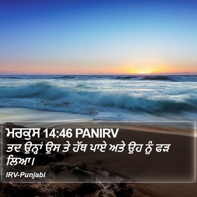 ਮਰਕੁਸ 14:46 PANIRV Bible Verse Image