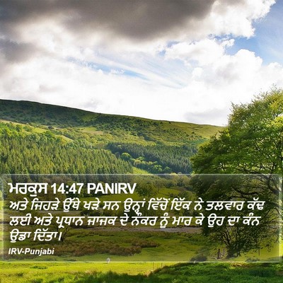 ਮਰਕੁਸ 14:47 PANIRV Bible Verse Image