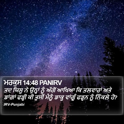 ਮਰਕੁਸ 14:48 PANIRV Bible Verse Image