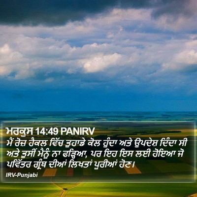 ਮਰਕੁਸ 14:49 PANIRV Bible Verse Image