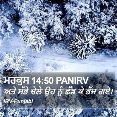 ਮਰਕੁਸ 14:50 PANIRV Bible Verse Image