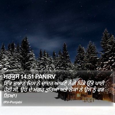 ਮਰਕੁਸ 14:51 PANIRV Bible Verse Image