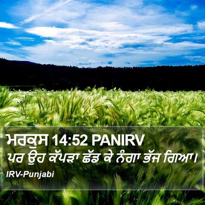 ਮਰਕੁਸ 14:52 PANIRV Bible Verse Image