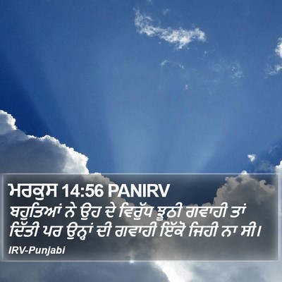 ਮਰਕੁਸ 14:56 PANIRV Bible Verse Image
