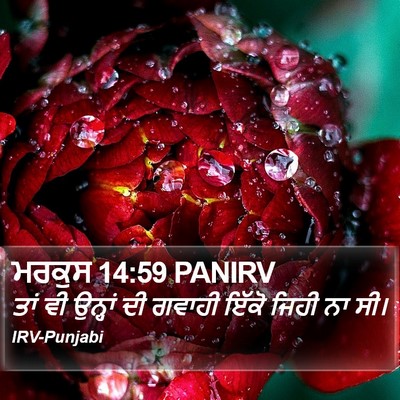 ਮਰਕੁਸ 14:59 PANIRV Bible Verse Image