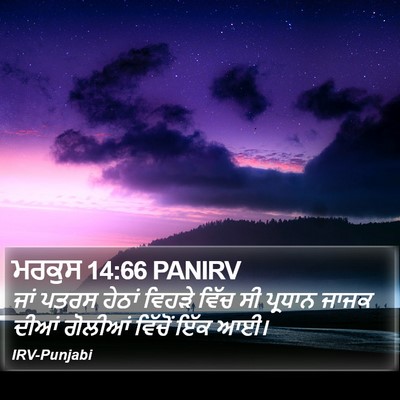ਮਰਕੁਸ 14:66 PANIRV Bible Verse Image