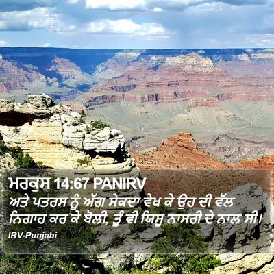 ਮਰਕੁਸ 14:67 PANIRV Bible Verse Image