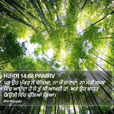 ਮਰਕੁਸ 14:68 PANIRV Bible Verse Image