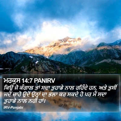 ਮਰਕੁਸ 14:7 PANIRV Bible Verse Image