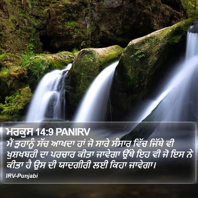 ਮਰਕੁਸ 14:9 PANIRV Bible Verse Image
