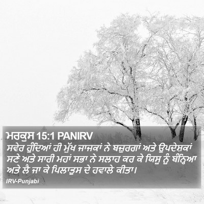 ਮਰਕੁਸ 15:1 PANIRV Bible Verse Image