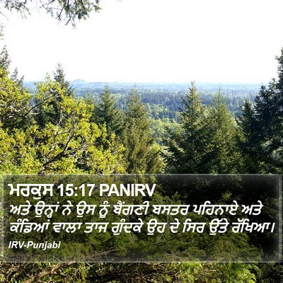 ਮਰਕੁਸ 15:17 PANIRV Bible Verse Image