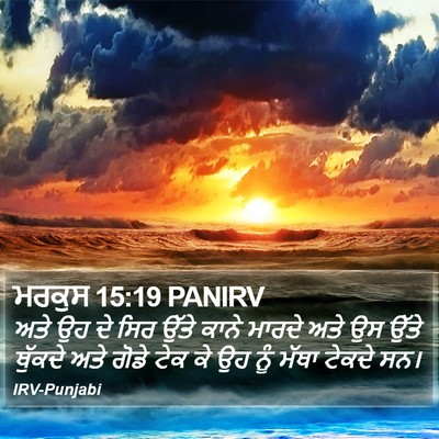 ਮਰਕੁਸ 15:19 PANIRV Bible Verse Image