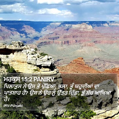 ਮਰਕੁਸ 15:2 PANIRV Bible Verse Image