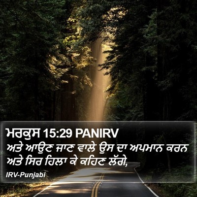 ਮਰਕੁਸ 15:29 PANIRV Bible Verse Image