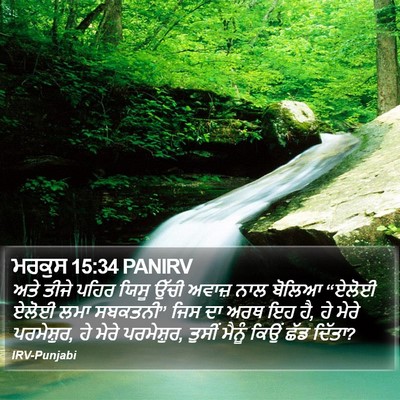 ਮਰਕੁਸ 15:34 PANIRV Bible Verse Image