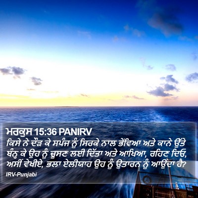 ਮਰਕੁਸ 15:36 PANIRV Bible Verse Image
