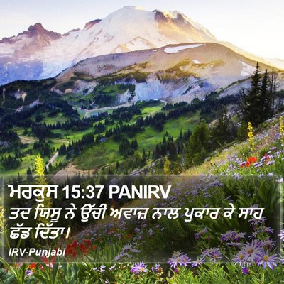 ਮਰਕੁਸ 15:37 PANIRV Bible Verse Image