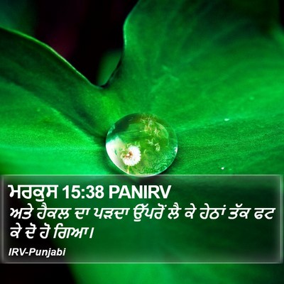 ਮਰਕੁਸ 15:38 PANIRV Bible Verse Image
