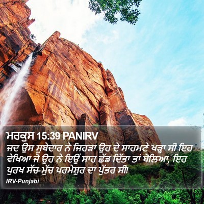ਮਰਕੁਸ 15:39 PANIRV Bible Verse Image