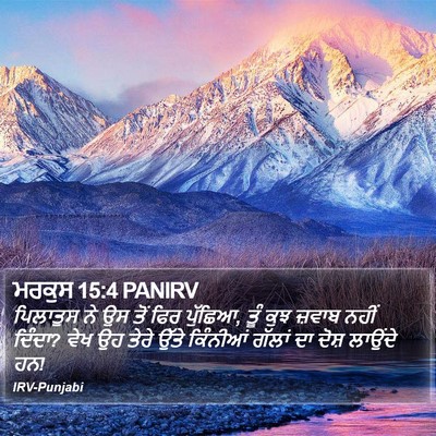 ਮਰਕੁਸ 15:4 PANIRV Bible Verse Image
