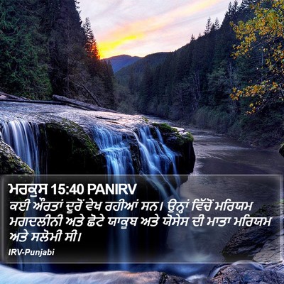ਮਰਕੁਸ 15:40 PANIRV Bible Verse Image