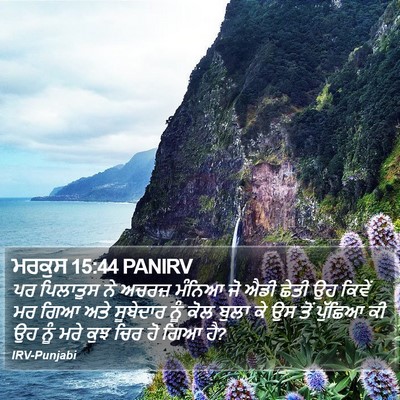 ਮਰਕੁਸ 15:44 PANIRV Bible Verse Image