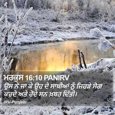 ਮਰਕੁਸ 16:10 PANIRV Bible Verse Image