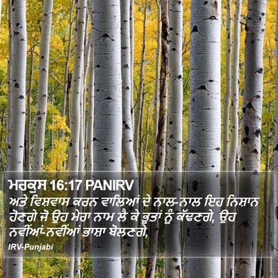 ਮਰਕੁਸ 16:17 PANIRV Bible Verse Image