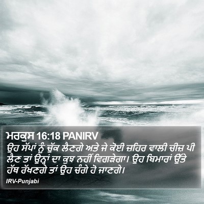 ਮਰਕੁਸ 16:18 PANIRV Bible Verse Image