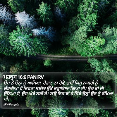 ਮਰਕੁਸ 16:6 PANIRV Bible Verse Image
