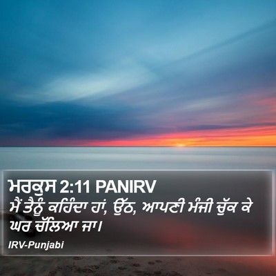 ਮਰਕੁਸ 2:11 PANIRV Bible Verse Image