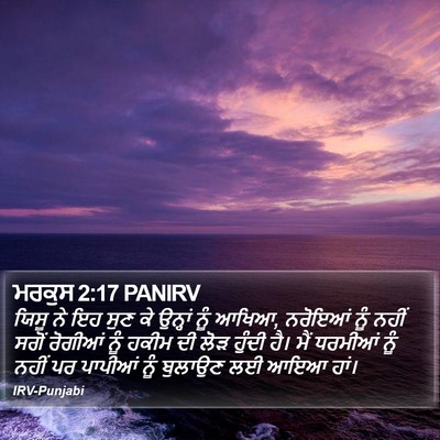 ਮਰਕੁਸ 2:17 PANIRV Bible Verse Image