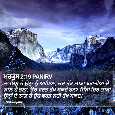 ਮਰਕੁਸ 2:19 PANIRV Bible Verse Image