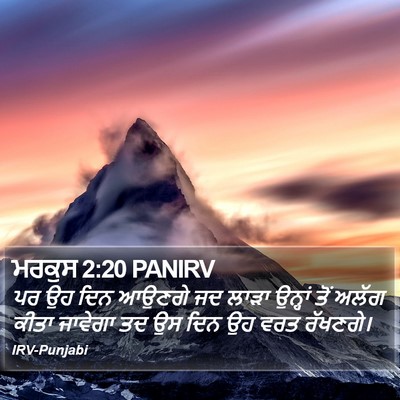 ਮਰਕੁਸ 2:20 PANIRV Bible Verse Image