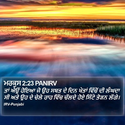 ਮਰਕੁਸ 2:23 PANIRV Bible Verse Image