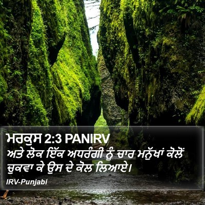 ਮਰਕੁਸ 2:3 PANIRV Bible Verse Image