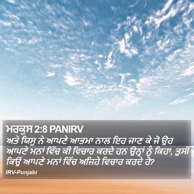 ਮਰਕੁਸ 2:8 PANIRV Bible Verse Image