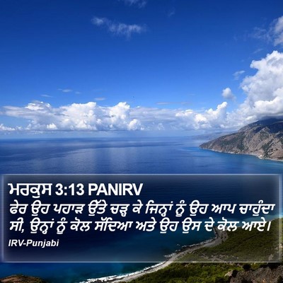 ਮਰਕੁਸ 3:13 PANIRV Bible Verse Image