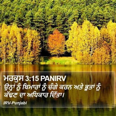 ਮਰਕੁਸ 3:15 PANIRV Bible Verse Image