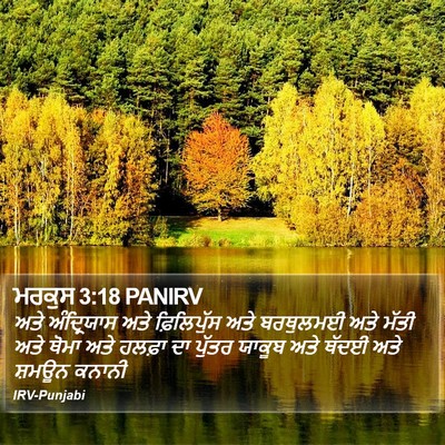 ਮਰਕੁਸ 3:18 PANIRV Bible Verse Image
