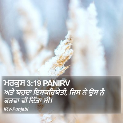 ਮਰਕੁਸ 3:19 PANIRV Bible Verse Image