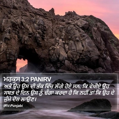 ਮਰਕੁਸ 3:2 PANIRV Bible Verse Image