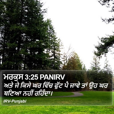 ਮਰਕੁਸ 3:25 PANIRV Bible Verse Image