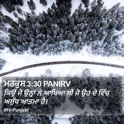 ਮਰਕੁਸ 3:30 PANIRV Bible Verse Image