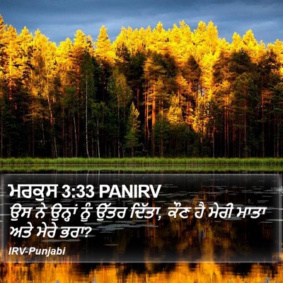 ਮਰਕੁਸ 3:33 PANIRV Bible Verse Image