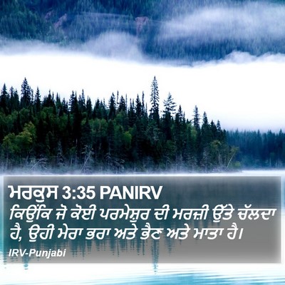 ਮਰਕੁਸ 3:35 PANIRV Bible Verse Image