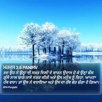 ਮਰਕੁਸ 3:5 PANIRV Bible Verse Image