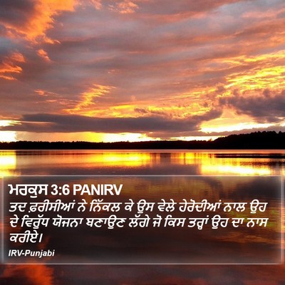 ਮਰਕੁਸ 3:6 PANIRV Bible Verse Image