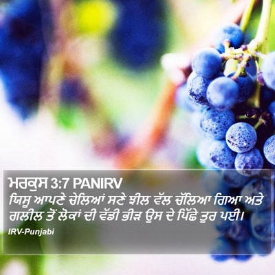 ਮਰਕੁਸ 3:7 PANIRV Bible Verse Image
